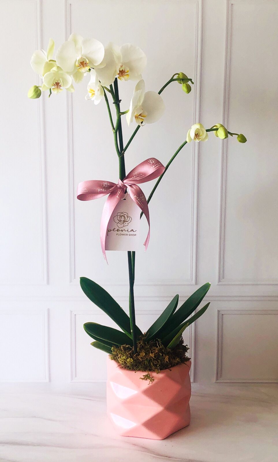 Orquídea Base Hexagonal